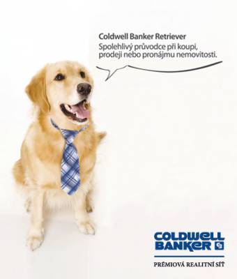 Coldwell Banker retriever pomáhá vodícím psům