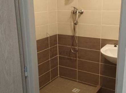 koupelna | Pronájem bytu, 1+1, 29 m²