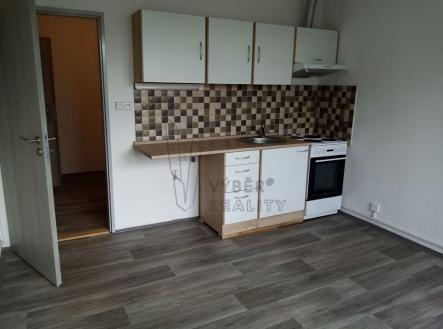img-20230725-wa0020-1-1.jpg | Pronájem bytu, 1+kk, 21 m²