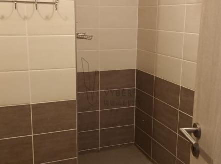 whatsapp-image-2024-12-10-at-07-41-12-3.jpeg | Pronájem bytu, 3+kk, 63 m²