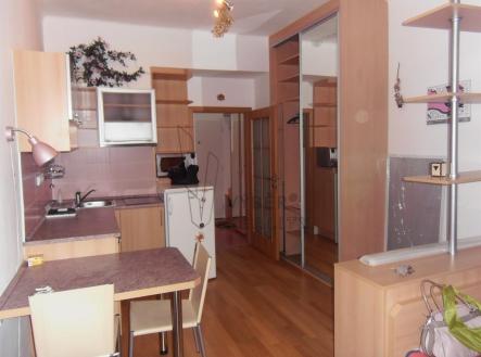 01.jpg | Pronájem bytu, 1+kk, 25 m²