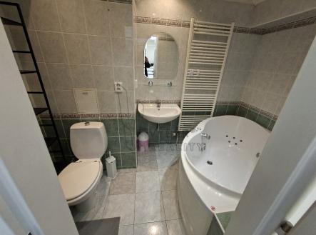 koupelna s WC | Pronájem bytu, 1+1, 41 m²