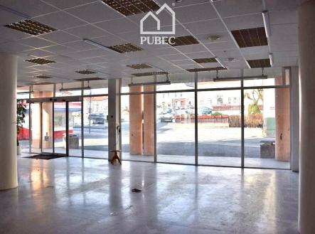 20 | Pronájem - obchodní prostor, 254 m²