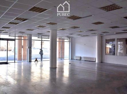 10 | Pronájem - obchodní prostor, 254 m²
