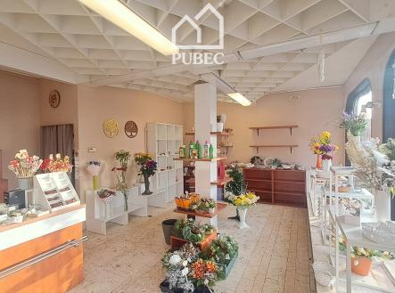 30 | Pronájem - obchodní prostor, 52 m²