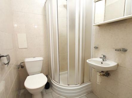 Prodej bytu, 2+kk, 44 m²