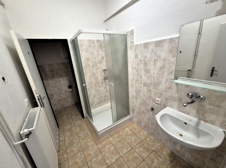 Pronájem bytu, 1+1, 45 m²