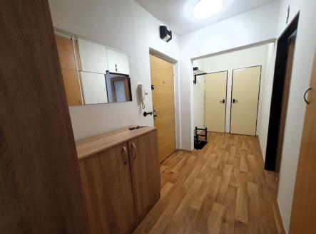 Pronájem bytu, 1+1, 43 m²