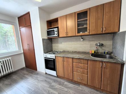Pronájem bytu, 1+1, 43 m²