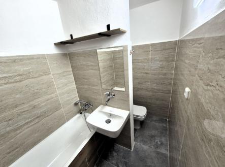 Pronájem bytu, 1+1, 43 m²