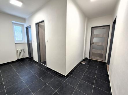 Pronájem bytu, 1+1, 46 m²