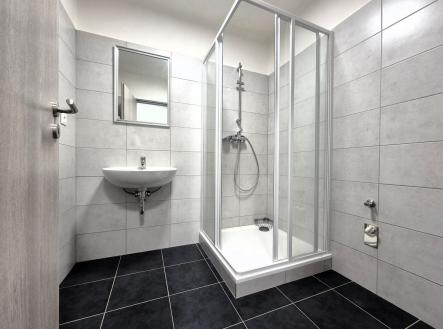 Pronájem bytu, 1+1, 46 m²
