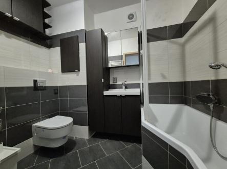 Pronájem bytu, 2+1, 66 m²
