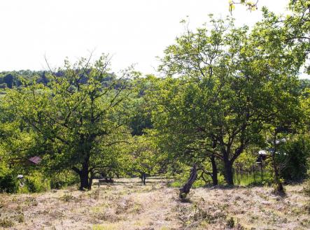 . | Prodej - pozemek, zahrada, 1 724 m²