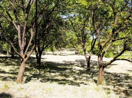 . | Prodej - pozemek, zahrada, 2 756 m²