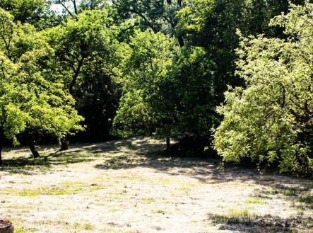 . | Prodej - pozemek, zahrada, 2 756 m²