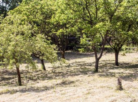 . | Prodej - pozemek, zahrada, 2 756 m²
