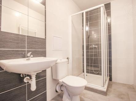 vana s stěna dlaždic, sprcha, zrcadlo, a kachličková podlaha | Pronájem bytu, 2+kk, 63 m²