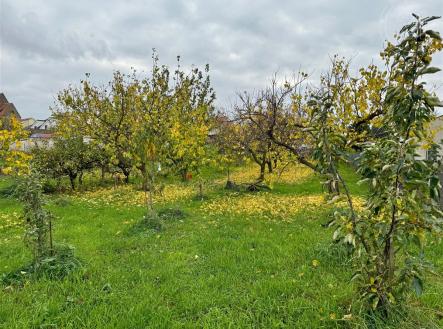 Prodej - pozemek, zahrada, 1 198 m² obrázek