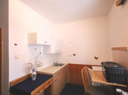 . | Pronájem bytu, 1+kk, 15 m²