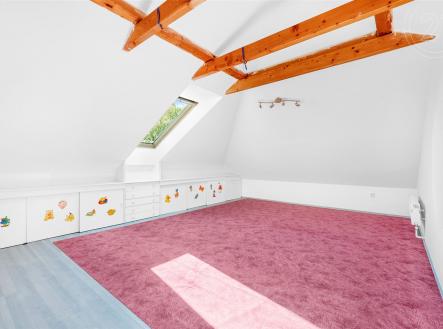 . | Prodej - dům/vila, 515 m²