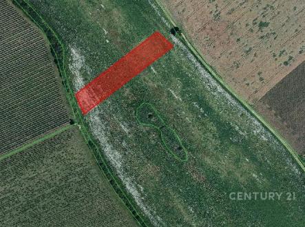 . | Prodej - pozemek, zemědělská půda, 10 318 m²