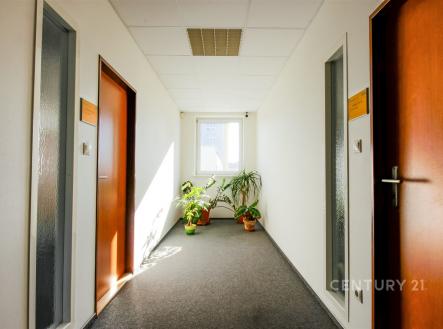 . | Pronájem - kanceláře, 320 m²