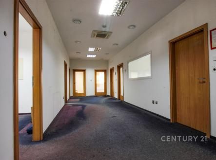 . | Pronájem - výrobní prostor, 897 m²