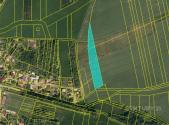 Prodej - pozemek, zemědělská půda, 6 619 m²