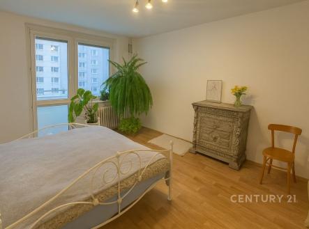 . | Pronájem bytu, 1+1, 41 m²