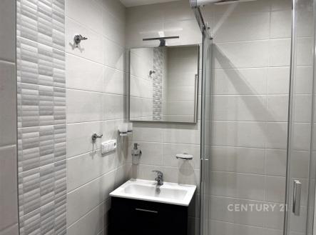 . | Pronájem bytu, 1+1, 41 m²