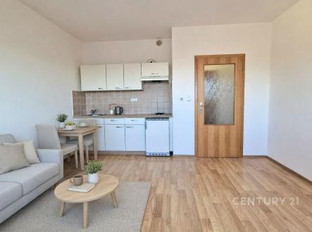 . | Pronájem bytu, 1+kk, 38 m²