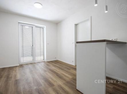 prázdná místnost s přirozené světlo a dřevěná podlaha | Pronájem bytu, 2+kk, 46 m²