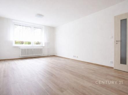 . | Pronájem bytu, 1+1, 42 m²