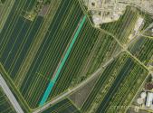 Prodej - pozemek, zemědělská půda, 12 372 m²
