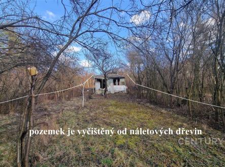 . | Prodej - pozemek, zahrada, 1 131 m²