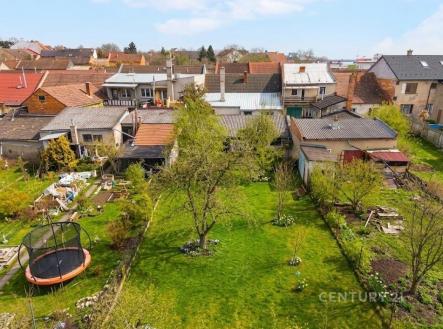 Zahrada s udržovaným trávníkem, vzrostlými stromy a trampolínou, obklopená zděnými domy s různorodou architekturou ve vesnickém prostředí. | Prodej - pozemek pro bydlení, 754 m²