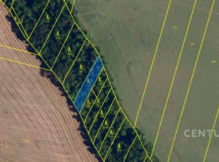 "" | Prodej - pozemek, les, 921 m²