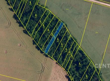 . | Prodej - pozemek, les, 921 m²