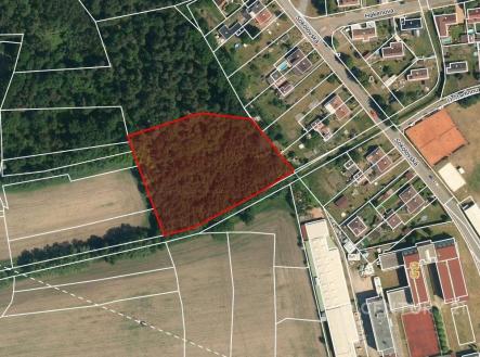 . | Prodej - pozemek, les, 10 362 m²