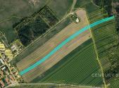 Prodej - pozemek, zemědělská půda, 12 625 m²