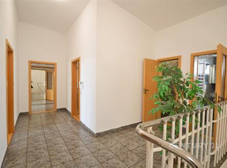 . | Pronájem bytu, jiný, 230 m²