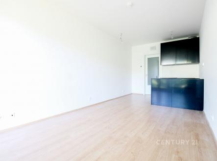 . | Pronájem bytu, 1+kk, 30 m²