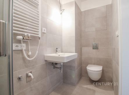 . | Pronájem bytu, 1+kk, 30 m²