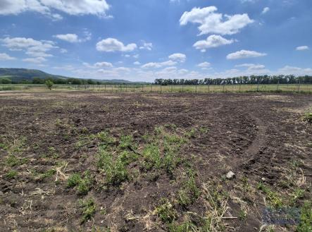 Prodej - pozemek pro bydlení, 619 m²
