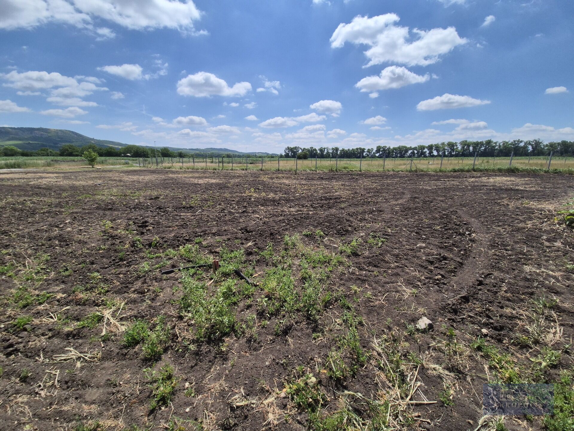 Stavební pozemek 619 m² s výhledem na Pálavu v klidné části Dolních Dunajovic