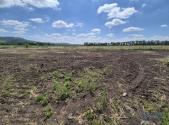 Prodej - pozemek pro bydlení, 619 m²