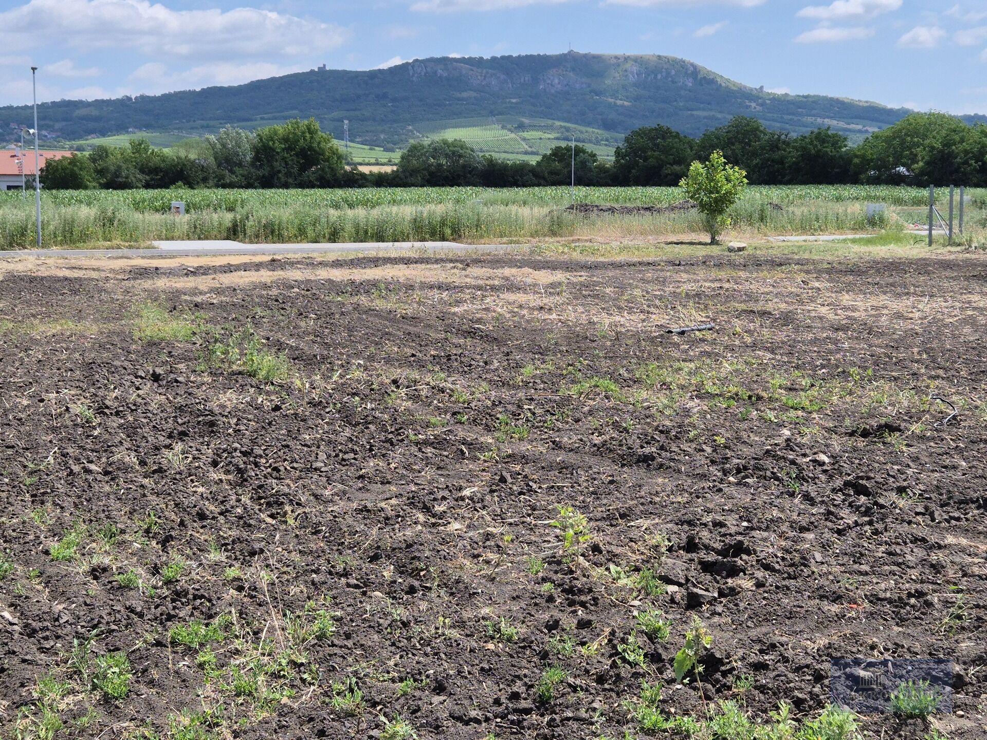 Stavební pozemek 631 m² s výhledem na Pálavu v klidné části Dolních Dunajovic