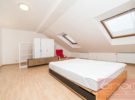 foto: 4 | Pronájem bytu, 4+1, 205 m²