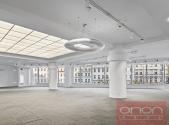 Pronájem - obchodní prostor, 475 m²